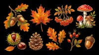 Autumn fall leaves oak maple acorn pinecone mushroom rowan berries chestnut isolated transparent background png clipart cut out design element sublimation print on demand t-shirt sticker decal craft scrapbooking seasonal decoration fall foliage nature botanical leaf branch stem flora natural elements harvest thanksgiving autumn collection bundle set illustration graphic asset.
