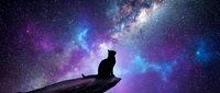 Cat silhouette sitting on rock under starry night sky with colorful galaxy and Milky Way. Cosmic space scene for astronomy, meditation, and dreamy designs.