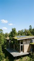 Modern eco-friendly house with solar panels and green roof surrounded by lush forest under clear blue sky for sustainable living concepts.