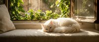 Fluffy white cat resting on windowsill with green plants visible outside, relaxed pet lounging in natural sunlight for home and lifestyle content.