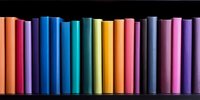 Colorful book spines arranged in rainbow order on black shelf, creating vibrant spectrum pattern. Multicolored hardcover books standing in row for library or education concept.