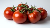 Fresh red vine tomatoes with green stems on white background, isolated close up view for food photography, cooking, and healthy eating concepts.