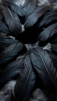 Dark purple basil leaves with metallic sheen arranged in circular pattern, moody botanical photography for culinary and gardening projects.