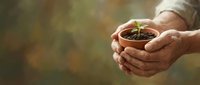 Elderly hands gently holding small terracotta pot with green seedling sprout, symbolizing growth, care and new beginnings in gardening and nature.
