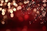 Festive holiday background with warm bokeh lights and decorative branches creating magical atmosphere for seasonal celebrations and winter events.