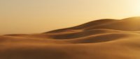 Golden sand dunes landscape at sunset with warm light creating dramatic shadows and curves in desert terrain for travel and nature concepts.
