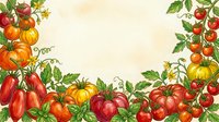 Ripe tomatoes in various stages of ripeness with green foliage arranged as border frame on cream background. Suitable for recipe blogs, cooking websites, farmers market promotions, and food packaging designs.