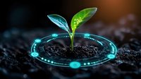 Young green seedling growing from soil with futuristic digital holographic interface surrounding it, symbolizing agricultural technology and sustainable farming.
