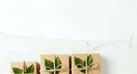 Eco-friendly kraft paper gift boxes tied with twine and decorated with fresh green leaves, isolated on white background for sustainable packaging design.