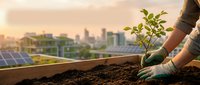 Hands planting young green seedling in soil on urban rooftop with solar panels and city skyline at sunset, symbolizing sustainable living and eco-friendly growth.