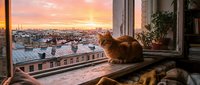Ginger cat sitting on windowsill gazing at sunset cityscape with rooftops and golden sky, urban apartment interior view for lifestyle and home decor projects.