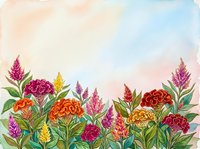 Watercolor garden border with vibrant celosia and marigold flowers in pink, orange, red and yellow tones on soft pastel sky background.