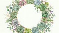 Watercolor succulent wreath with eucalyptus leaves and ferns on white background, botanical frame for wedding invitations and greeting cards.