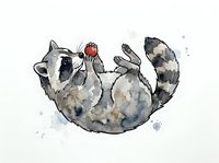 Playful raccoon lying on its back holding a red apple, watercolor style illustration on white background, suitable for children's books and educational materials.
