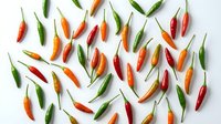 Colorful hot chili peppers arranged on white background. Fresh spicy vegetables in red, orange and green colors for cooking and culinary projects.