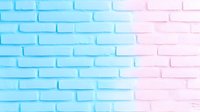 Gradient colored brick wall transitioning from blue to pink, modern urban background with textured masonry surface for creative design projects.