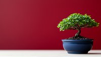 Small bonsai tree with vibrant green leaves in traditional blue ceramic pot against burgundy red wall background, showcasing Japanese gardening artistry.
