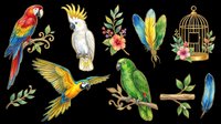 Colorful parrots, cockatoos, macaws, and feathers isolated on transparent background. Ready for t-shirt design, clipart, stickers, sublimation, and print-on-demand projects.