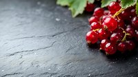 Fresh ripe red currant berries with green leaves on dark stone slate background with copy space for text, close up view with selective focus.