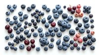 Fresh mixed berries scattered on white background featuring blueberries and cranberries for healthy eating and cooking recipes.