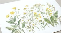 Watercolor botanical illustration featuring yellow wildflowers, green leaves and fern fronds on white background for nature design projects.