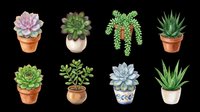 Assorted succulent plants in decorative pots, isolated on transparent background. Ready for t-shirt designs, clipart, stickers, print-on-demand products, and sublimation projects.