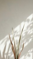 Minimalist botanical arrangement with dried grass blades casting soft shadows on neutral wall, ideal for modern interior design and wellness branding.