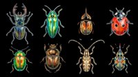 Colorful beetle and ladybug clipart set, isolated on transparent background. Eight detailed insects for t-shirt design, stickers, print on demand, and sublimation projects.
