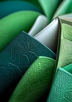 Close-up view of book spines in various shades of green and white creating an abstract pattern with textured leather covers and dramatic lighting.