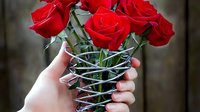 Red roses wrapped in barbed wire held by pale feminine hands, symbolizing love's painful complexities and emotional barriers in relationships.
