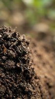Rich dark soil with organic matter and natural texture for gardening and agriculture concepts with blurred green background.