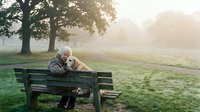 Senior Caucasian man with gray hair sitting on park bench cuddling golden retriever dog during misty sunrise morning creating peaceful companionship moment.