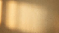Warm golden light casting soft shadows on textured beige wall surface, creating abstract background for design projects and creative compositions.