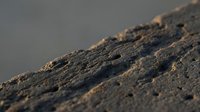 Close-up macro view of dark volcanic rock surface with rough textured details and natural lighting creating dramatic shadows and highlights.