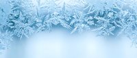 Delicate ice crystals form intricate frost patterns on winter window glass creating natural frozen artwork with copy space for seasonal designs.