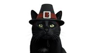 Black cat wearing pilgrim hat with buckle, isolated on white background for holiday designs, greeting cards, and festive clipart projects.
