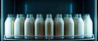 Fresh milk bottles arranged in row on refrigerator shelf with blue LED lighting. Dairy products storage and healthy nutrition concept for food industry.