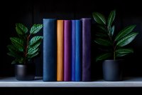 Colorful yoga mats rolled and standing between green plants in black pots on dark background, minimalist wellness and fitness composition for studio decor.