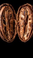 Dried walnut halves split open showing intricate natural patterns and textures on black background for culinary and organic food concepts.
