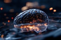 Glowing translucent brain with orange light sparks and neural connections on dark background illustrates artificial intelligence, machine learning and cognitive science.