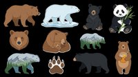 Bear species collection featuring brown, polar, panda, and black bears in various poses. Isolated on transparent background, ready for clipart, t-shirt design, stickers, print-on-demand, and sublimation projects.