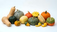 Assorted fresh autumn squash and gourds including butternut, acorn, and decorative varieties arranged on white background for fall harvest, seasonal cooking, and produce marketing.