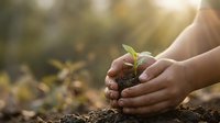 Hands gently protecting young green plant seedling growing from soil with warm sunlight creating hopeful atmosphere for environmental care concepts.