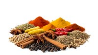 Colorful spices and herbs collection with cinnamon sticks, star anise, peppercorns, turmeric, paprika powder arranged on white background for cooking.