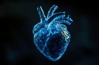 Glowing blue anatomical heart visualization with detailed arterial system and wireframe structure against dark background, representing medical technology advancement.
