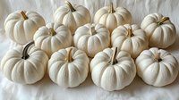 White mini pumpkins arranged in rows on white background, creating seasonal autumn decor composition. Natural organic gourds for fall harvest and Halloween.