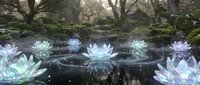 Magical glowing lotus flowers floating on dark water in mystical forest setting with sparkling light effects and ethereal atmosphere for fantasy designs.