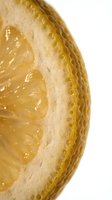 Macro close-up of a translucent lemon slice with glowing golden pulp and textured rind on a white background, showcasing fresh citrus detail.