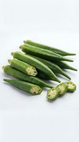 Fresh green okra pods with sliced pieces showing seeds on white background isolated for cooking and healthy eating concepts.