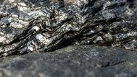 Weathered tree bark texture with deep crevices and natural patterns, suitable for backgrounds, design elements, and nature-themed projects.